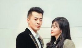 辛巴套路爆料视频全集,视频全集深度剖析