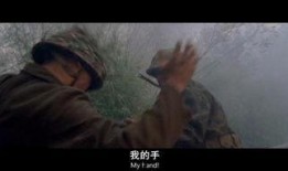 风语者手机在线观看,揭秘神秘通讯密码的传奇故事