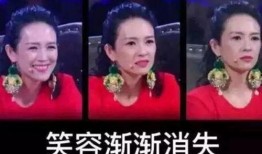 刘团长内部爆料视频大全,揭秘视频大全背后的惊人真相