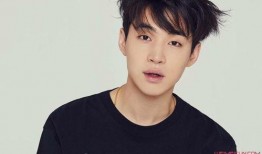 娱乐大爆料刘宪华,揭秘明星幕后故事