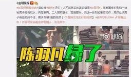 永康爆料羊夫人出轨视频,真相背后引发热议