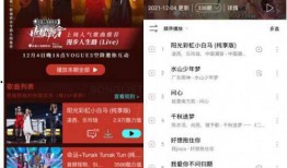 潮音战绩在线观看,在线观看，揭秘音乐偶像的辉煌历程