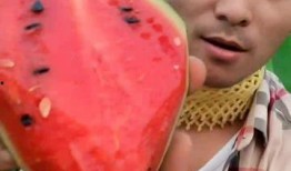 吃瓜网红叫什么名字好听,揭秘那些好听又独特的吃瓜网红名字