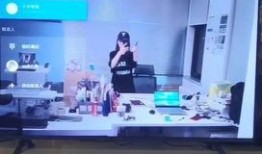 石家庄小米爆料事件视频,视频揭秘背后的真相与争议