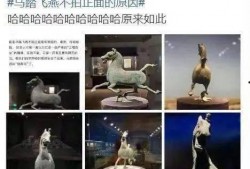 生活八卦大爆料视频大全,生活八卦大爆料视频全集精彩回顾