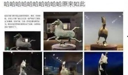 生活八卦大爆料视频大全,生活八卦大爆料视频全集精彩回顾