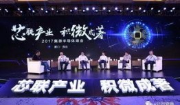 无锡微业金服员工爆料视频,揭秘公司内幕与困境