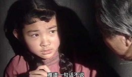 蔡鄂与小凤仙全集在线观看,传奇人生全景再现