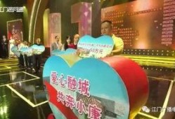 广东新闻珠江台爆料视频,广东新闻热点事件深度解析