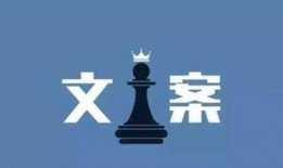 爆料讽刺短视频文案,爆料文案揭示社会现象