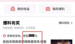 杭州爆料上头条了吗最新,最新热点事件引发全网关注，上头条！