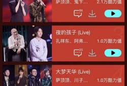 潮音战绩在线观看,在线观看，揭秘音乐偶像的辉煌历程