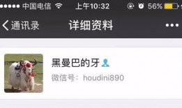 小破绽爆料图片大全集最新,图片大全集深度解析