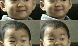 娱乐圈哪里吃瓜最真实的,揭秘幕后真相与幕后黑幕