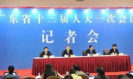 湛江今日大爆料,热点事件盘点与深度解读