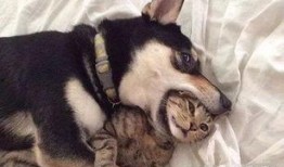 二狗爆料被乐哥拉黑视频,揭秘与乐哥关系破裂，被拉黑背后的真相