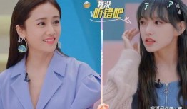 刘芸爆料视频最新,揭秘娱乐圈背后真相