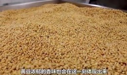 豆瓣酱生产爆料视频播放,传统工艺与现代技术的完美融合