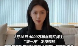 爆料假粉事件视频,网络舆论背后的真相与反思