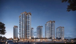 石狮绿岛最新爆料,揭秘神秘项目背后的惊人真相