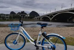 桂林单车爆料最新消息新闻,悲剧发生，原因调查中