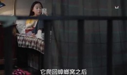 月儿姐姐爆料视频大全集,揭秘娱乐圈幕后真相