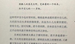 小陈吃瓜日记免费阅读小说,揭秘娱乐圈背后的秘密