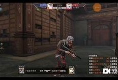 和平静英最新爆料,揭秘娱乐圈幕后真相