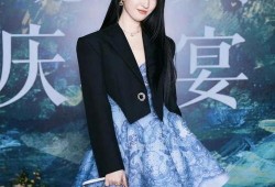 刘亦菲爆料最新情况,揭秘演艺生涯背后的心酸历程