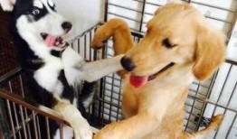 二狗爆料被乐哥拉黑视频,揭秘与乐哥关系破裂，被拉黑背后的真相