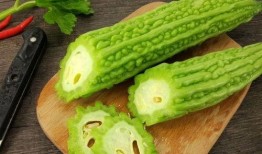 吃瓜系统免费吃瓜,免费畅享瓜界盛宴
