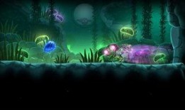 山海大虫子爆料视频下载,探寻神秘生物的奥秘