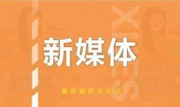 行业内幕新闻怎么爆料,独家爆料背后的真相与影响