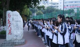 南充高坪中学爆料事件视频,视频揭露惊人真相