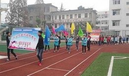 南充高坪中学爆料事件视频,视频揭露惊人真相