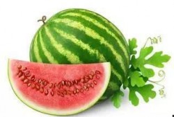 微胖网红吃瓜,揭秘娱乐圈幕后真相