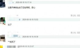 陈赫婚后爆料视频大全,揭秘明星夫妻背后的真实生活