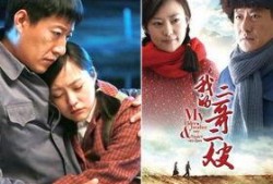 电视剧二嫂在线观看,揭秘现代家庭情感纠葛